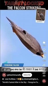 world fastest bard paragon falcon