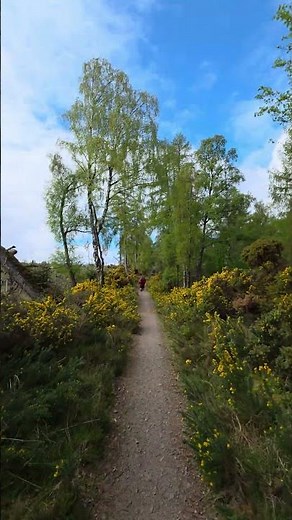 Epic scenery on the Great Glen Way #hike #travel #greatglenway #scotland