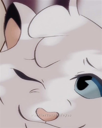 Cloudtail edit for @꧁ ✧𝑲𝑰𝑨✧ ꧂ ────── ⋆⋅☆⋅⋆ ────── cr: That Otter Thing AlexHarrier BlueMaroonAnimations River Fox SEGAmastergirl Solstrikeo6 beffalumps   ShadowedKing EaselEar   Pfini Productions ────── ⋆⋅☆⋅⋆ ────── tags: #Warriorcats#xyzbca#viral#fyp ────── ⋆⋅☆⋅⋆ ────── moots: @⋆♱✮♱⋆ HEALIUM ⋆♱✮♱⋆@「 ★ Ｍａｒｓ ★ 」@˚｡☆ℳ𝒾𝓈𝓉𝓎☆｡˚@★°♪ 𝐕𝐢𝐜𝐤𝐲 ♪°★@cuervo🫶🏽@⟡₊ ιʋყ .🌷ᡣ𐭩@Emii✨🐎@˚୨⋆˚⋆ 𝐌𝐈𝐋𝐋𝐈𝐄 ⋆˚⋆🍁˚@☆•𝐍𝐢𝐠𝐭𝐡𝐌𝐨𝐨𝐧•★@_emma.wceditzz_@꧁★𝓐𝓵𝓮𝔁𝓲𝓼🎧☕️♎️★꧂@˗ˏˋ 🍃✦ 𝐌𝐚𝐥𝐞𝐚 ˎˊ˗@˗ˏˋ ᴡ