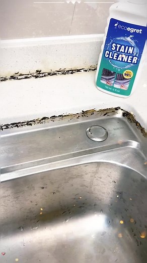 LINK IN BIO#EcoEgret #usa#mold #active #cleaninghacks #fyp