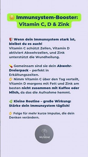 Immunsystem stärken mit Vitamin C, D & Zink 🛡️ So bleibst du fit!