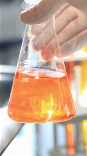 How is paper really made from trees?