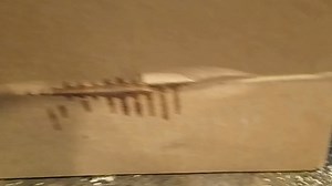 Watch Received items broken on Amazon Live