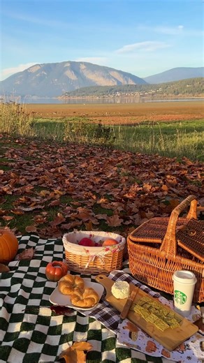Autumn Picnic Ideas and Activities for a Memorable Fall Outing