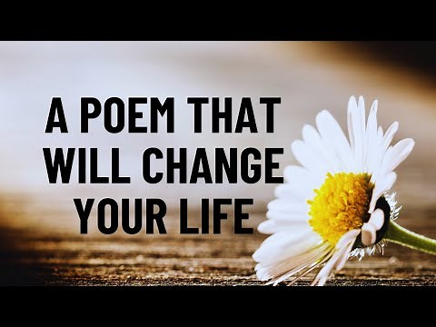 Let Them by Cassie Phillips | Embrace the Power of Letting Go