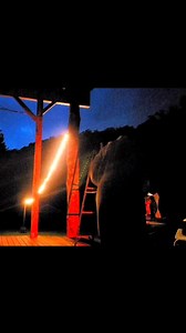 4.6K views · 73 reactions | Wasp Nest Removal Phase 1 ⚠️ Rolled in last night with a mission—and a full arsenal: 六‍ Bee suit 煮 8-foot ladder  Big fan  Red light 璘 Several cans of 27-foot foam spray Sprayed the bejesus out of that nest. Didn’t knock it down, but they definitely know I was there....Phase 2 goes down tonight—with a taller ladder and even more determination. I'LL BE BAK!! | Possum Trot | Facebook