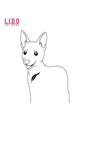 How to Draw a Cute Basenji Puppy for Kids & Beginners #lidoartworks
