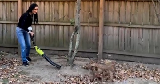 Exclusive discounts from CBS Mornings Deals