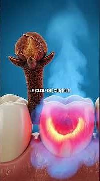 Que se passe-t-il vraiment quand tu as mal aux dents ? #corpshumain #santé #science #anatomie