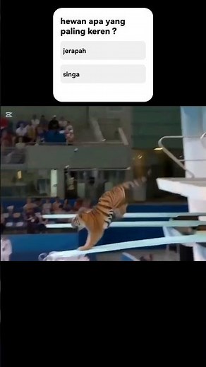 Animal Diving Olympics: Hilarious Pool Jump Contest! #shorts #shortvideo