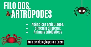 Artrópodes: classificação, características e exemplos