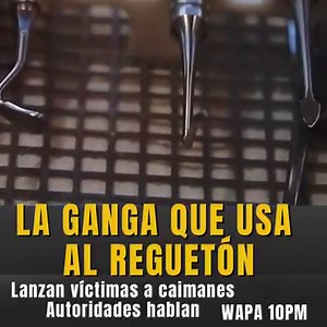5.1K views · 158 reactions | LA GANGA QUE ALEGADAMENTE USA EL...