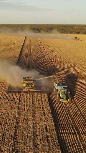 🌾 Chasing a Dream #aussie #customharvest #farming #farmaust