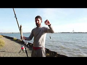 A Quick Sea Fishing Session At Shotley Gate - after the Bass
