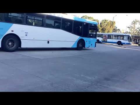 Transit Systems 9447 Volvo B7RLE Bustech VST