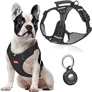 Harness for Small Dogs, Reflective Small Dog Harness No Pull with Front and Back 2 Clips, Adjustable Soft Padded Harnesses with Handle for Puppy Small Medium Large Dogs Walking（Black,S）