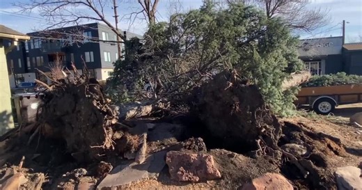Dangerous winds damage buildings, down trees in Colorado