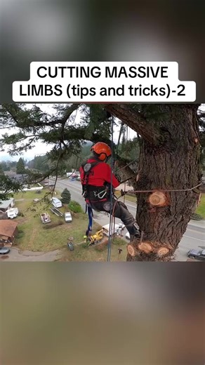 CUTTING MASSIVE LIMBS (tips and tricks)-2