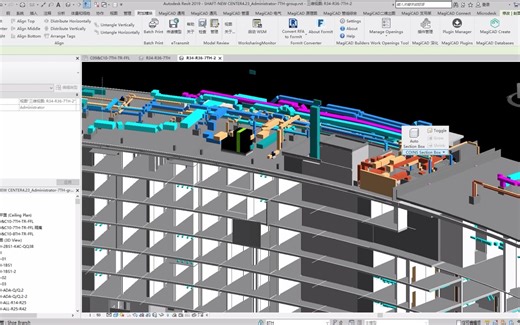 revit更智能的剖面框 之插件 COINS Auto-Section Box