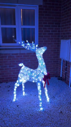 🎄✨ It’s the most wonder-ful time to SAVE! ✨🎄 wilko Wonderland décor is now HALF-PRICE 🤯🎁 That’s right… the Christmas Sale has officially sleighed its way in!👏🏼 🎄 Decorations 🧦 Stockings & sacks 🌿 Festive floristry 🎈 Christmas inflatables ✨ …and more 👉🏼 INCLUDING this stunning Iridescent Reindeer, now just £35.99 and doesn’t it look AMAZING in @AtHomeWithKirsty’s home?! 😍😱 🚨 YES — 50% OFF! 🚨 (No mistle-toe tricks here 👀😉) 🏃💨🛒 Don’t hang about! Shop in stores & online 🖱️ Clic