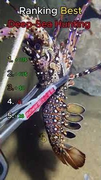 Ranking Best Deep-Sea Hunting
