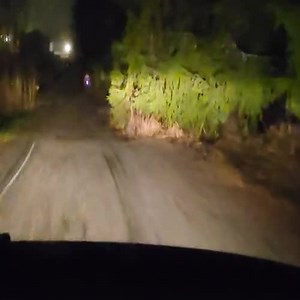 Light up 3D Beaded Animals for Keychains and Charms - Etsy Canada