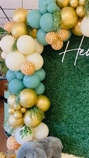 Watch Zoo animal theme backdrop on Amazon Live