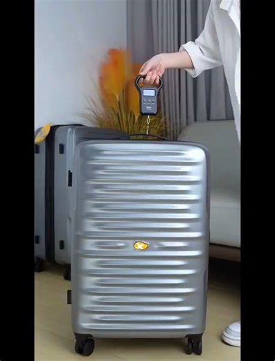 芒果鸟（MGOB）行李箱女拉杆箱24寸旅行箱男生28寸大容量密码20登机箱皮箱子 刀锋银