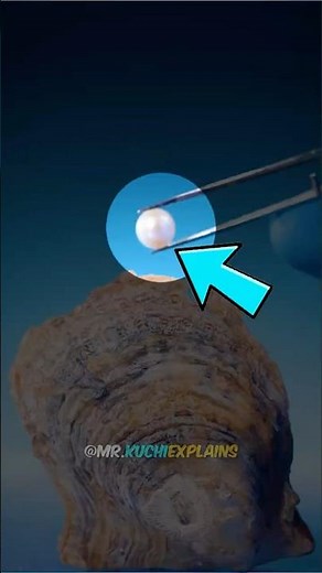 How Oysters Make Pearls