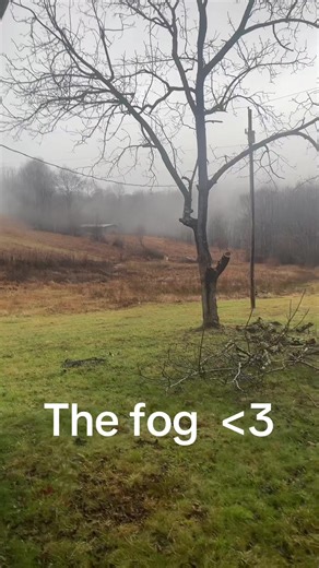 Catty (@cattytheguineapiglover)’s videos with L4D2 Lobotomized Swamp Fever Theme - 🤪🏃‍♂️🐐