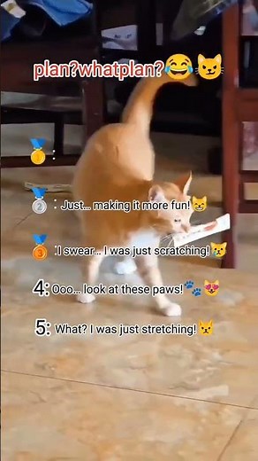 Cats flipping the script every time 😂 Just when you think you know… nope! 🐾 #shorts #viral #cat