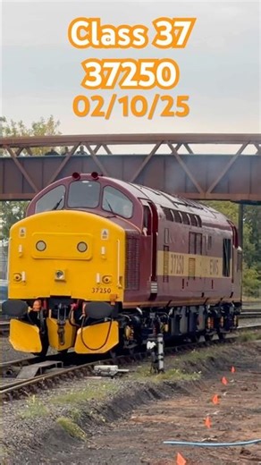 Class 37250 in Action in EWS Livery Shines at SVR Diesel Gala #class37 #dieseltrain #trainspotting