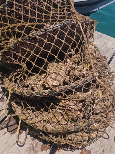 Explorando Arraial do Cabo com Richard Rasmussen