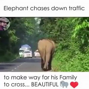 438K views · 4.2K reactions | Cricket Fans Association on Reels | Facebook