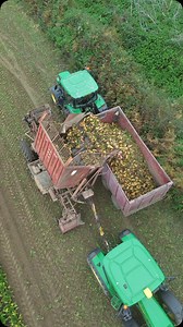 Fodder beet harvest back before the stormy weather arrived. John Deere 6R130 TIM 2 Row beet harvester. . . . . . . . . . #harvest #beet #fodderbeet #johndeere #farm #farming #deere #TIM #harvesting #farmlife #farmer #jersey #ağrı #agriculture #agricultura #agronomia #drone #dronephotography #dronestagram #dji #agricultureworldwide #landwirschaft #masterfarms | Master Farms