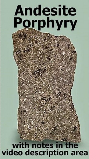 Volcanic Andesite Porphyry Rock--With Hornblende