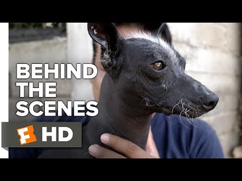 Coco Behind the Scenes - Xolo Dogs (2018) | Movieclips Extras