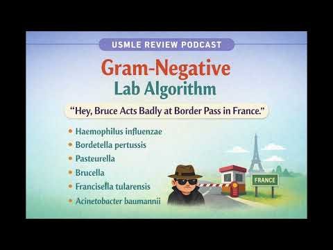 9. USMLE Step 1 Review Podcast: Gram negative lab algorithm (First Aid 2025 p. 139)