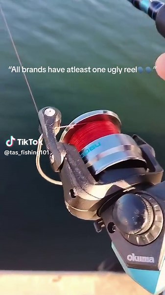 fish_for_life on TikTok