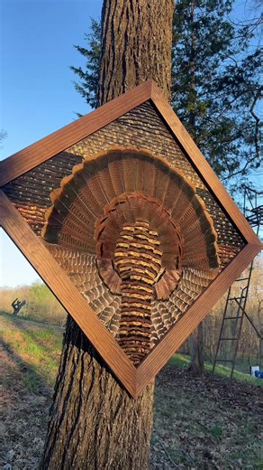 @Macy Hayes completed her first eastern turkey featherboard. #featherboards #turkey #nwtf #fyp #taxidermy