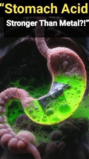 Your Stomach Acid Can Dissolve Metal?! The Scary Truth EXPLAINED in 30s #shorts