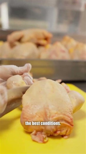 Why Grass-fed & free-range meat at HAPI? #seedoilfree