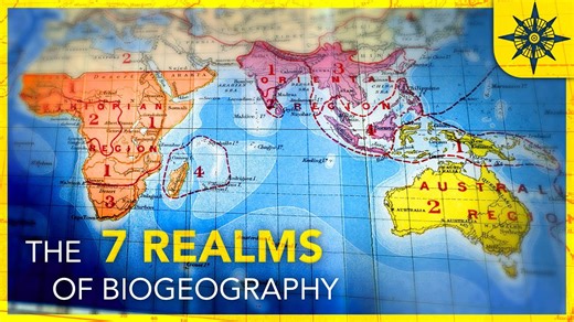 What Are The 7 Realms of Biogeography