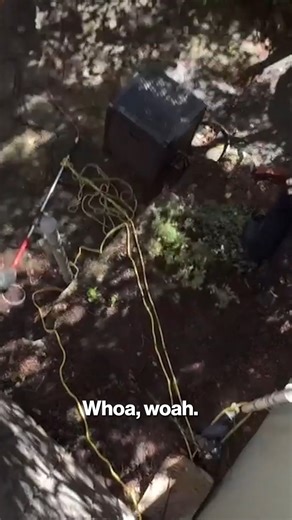 144K views · 2.8K reactions | Footage show firefighters helping a deer escape after being found stuck in a wall gap. | New York Post | Facebook