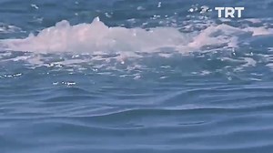 17K views · 247 reactions | Yıllar geçse de unutulmayan, “Tarkan: Viking Kanı” filmindeki ünlü ahtapot sahnesinin hikayesini Tarkan Yılmaz’dan dinleyelim.  @trtarsiv #TRTArşiv #trt #tarkanyılmaz #haldundormen #tarkan #ahtapot #vikingkanı #sinema #film #hikaye #sahne #arşiv | TRT | Facebook