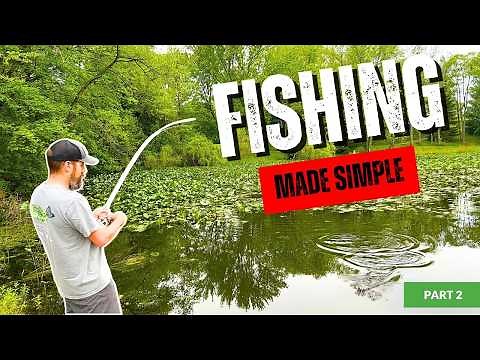 How to Fish (With No Experience): A Beginner’s Guide *Part 2*