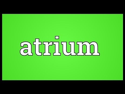 Atrium Meaning