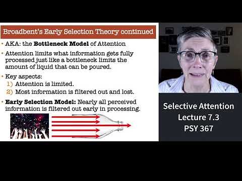 367 Lecture 7.3 The cocktail party effect