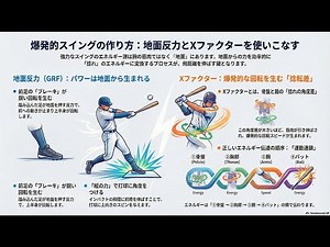 野球打撃におけるパワー生成のメカニズム：地面反力とXファクター