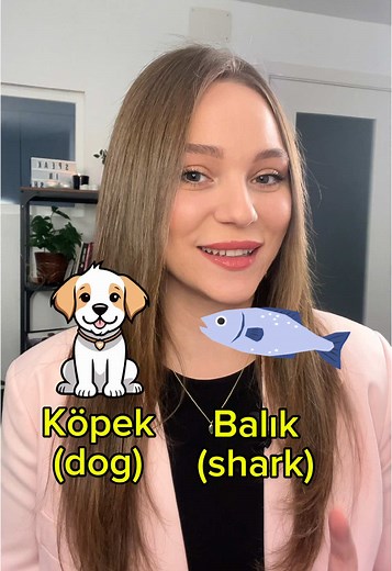 Learn Basic Turkish Words for Beginners